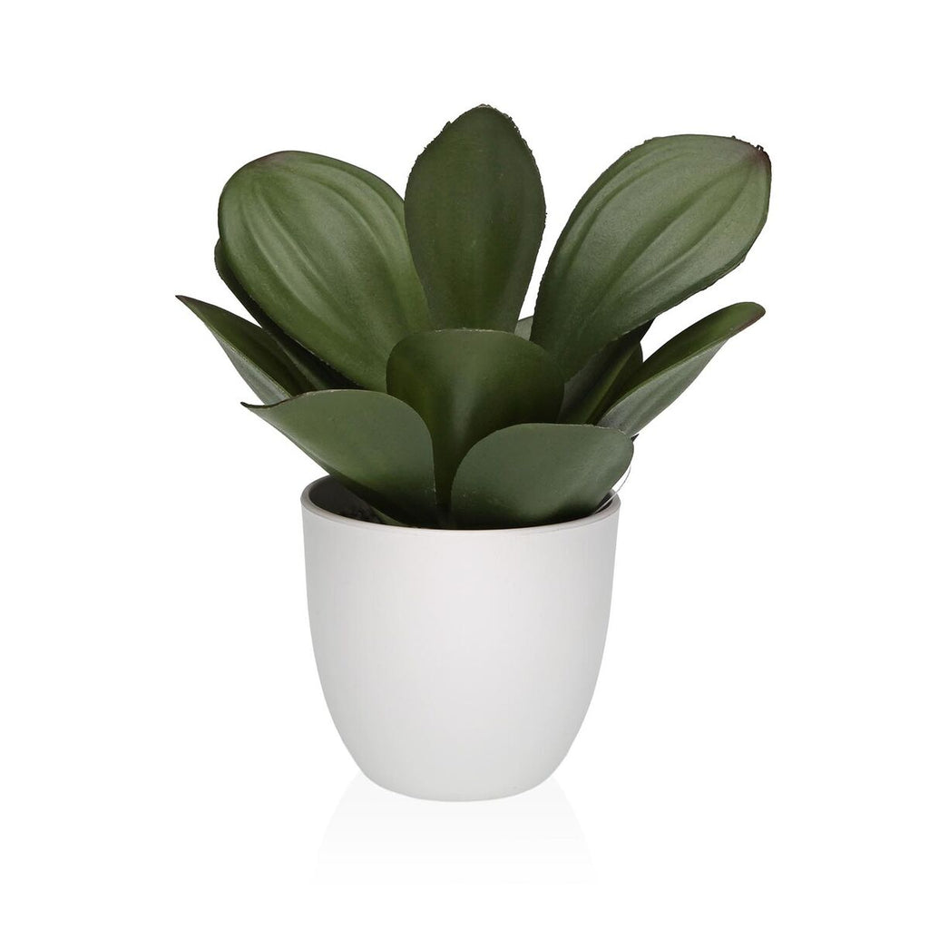 Decorative Plant Versa Iron Textile Plastic 25 x 23 cm-0