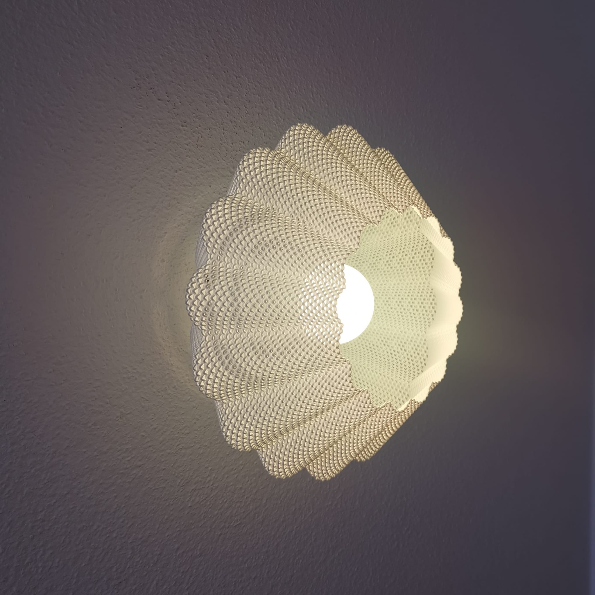 Lumine Bloom-3