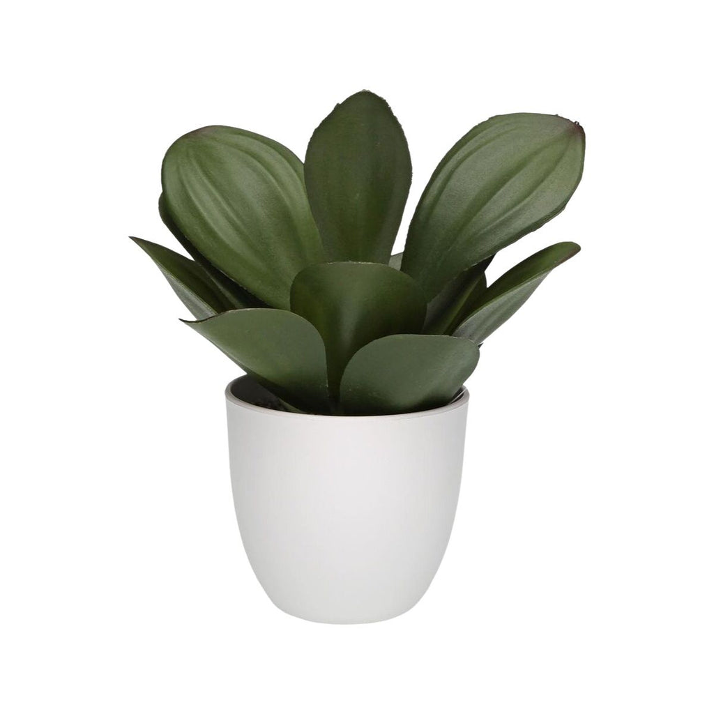 Decorative Plant Versa Iron Textile Plastic 25 x 23 cm-1