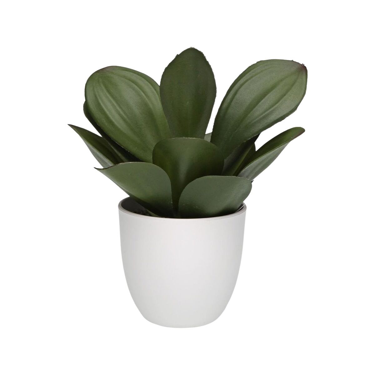 Decorative Plant Versa Iron Textile Plastic 25 x 23 cm-1